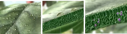 caycomui_banner8