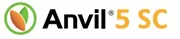 caphe_banner12