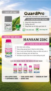 Tăng hiệu quả - chất lượng mặt cỏ