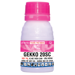 GEKKO 20SC