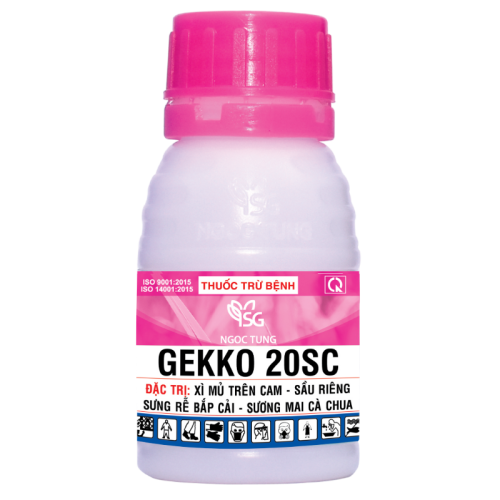 GEKKO 20SC