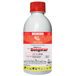 GONGSTAR (Ronglua 100SL)