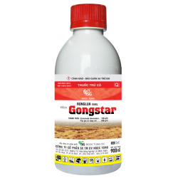 GONGSTAR (Ronglua 100SL)