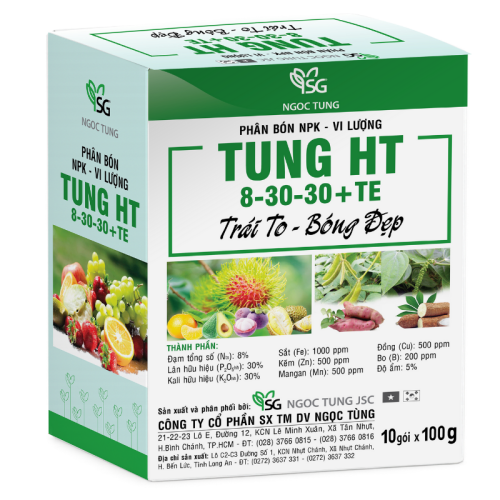TUNG HT