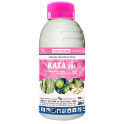 KATA 2SL