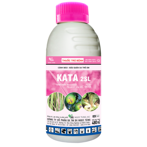 KATA 2SL