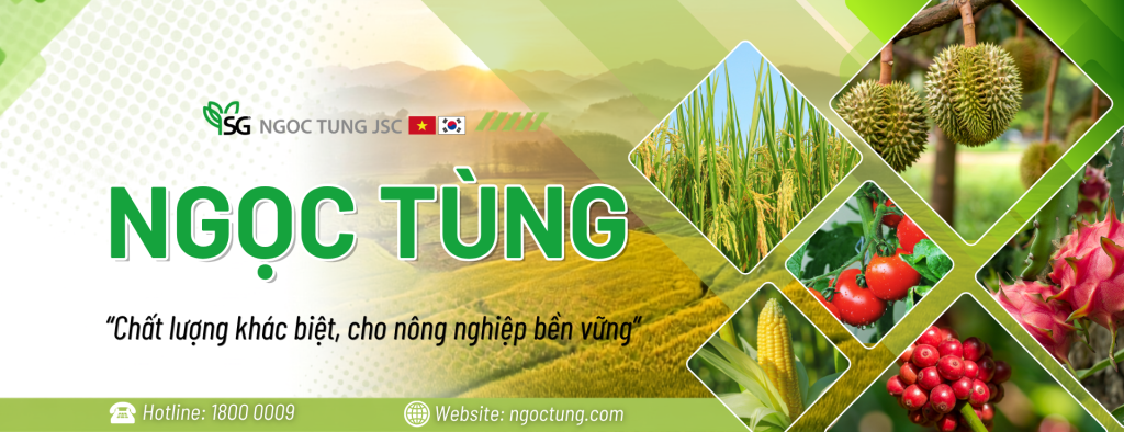 Banner Ngọc Tùng