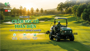 Chăm sóc cỏ sân Golf toàn diện