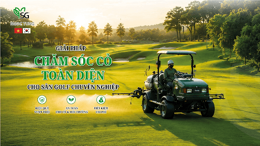 Chăm sóc cỏ sân Golf toàn diện